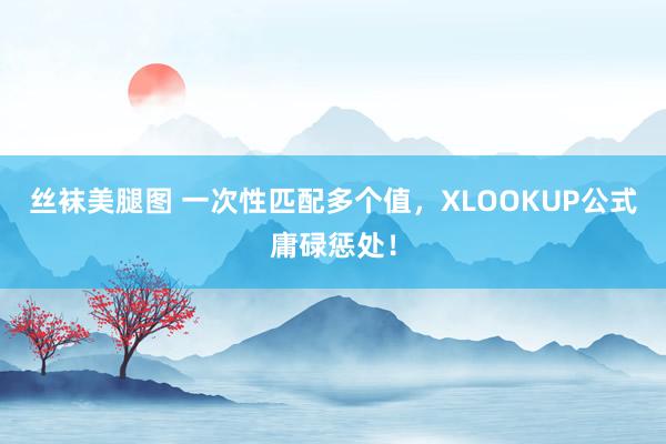 丝袜美腿图 一次性匹配多个值，XLOOKUP公式庸碌惩处！