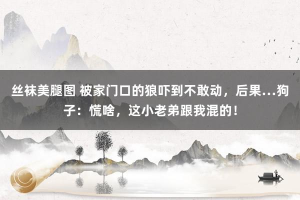 丝袜美腿图 被家门口的狼吓到不敢动，后果…狗子：慌啥，这小老弟跟我混的！
