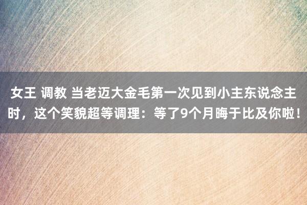 女王 调教 当老迈大金毛第一次见到小主东说念主时，这个笑貌超等调理：等了9个月晦于比及你啦！