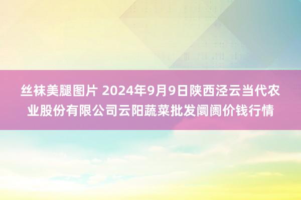 丝袜美腿图片 2024年9月9日陕西泾云当代农业股份有限公司云阳蔬菜批发阛阓价钱行情
