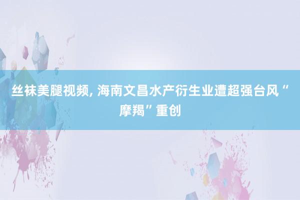 丝袜美腿视频， 海南文昌水产衍生业遭超强台风“摩羯”重创