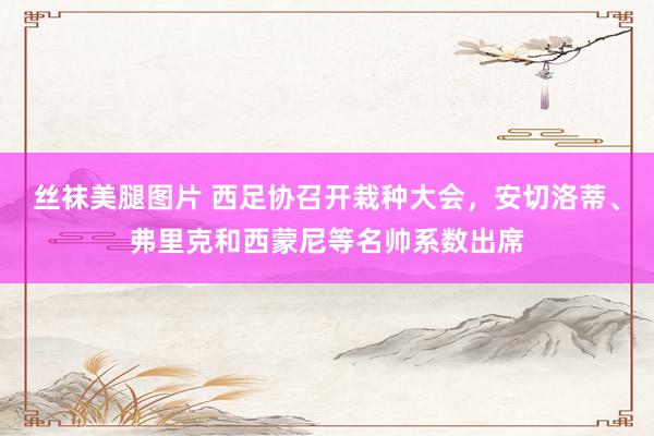 丝袜美腿图片 西足协召开栽种大会，安切洛蒂、弗里克和西蒙尼等名帅系数出席
