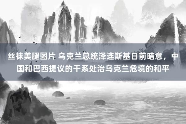 丝袜美腿图片 乌克兰总统泽连斯基日前暗意，中国和巴西提议的干系处治乌克兰危境的和平