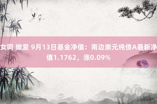 女同 做爱 9月13日基金净值：南边崇元纯债A最新净值1.1762，涨0.09%