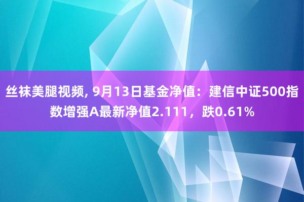 丝袜美腿视频， 9月13日基金净值：建信中证500指数增强A最新净值2.111，跌0.61%