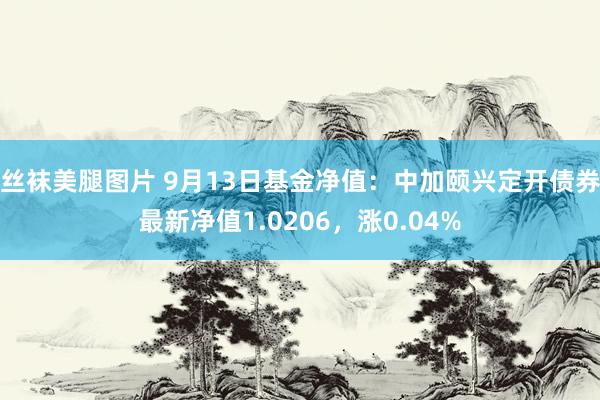 丝袜美腿图片 9月13日基金净值：中加颐兴定开债券最新净值1.0206，涨0.04%
