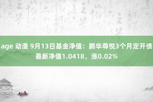 age 动漫 9月13日基金净值：鹏华尊悦3个月定开债最新净值1.0418，涨0.02%