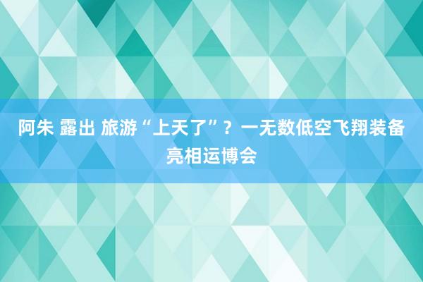 阿朱 露出 旅游“上天了”？一无数低空飞翔装备亮相运博会