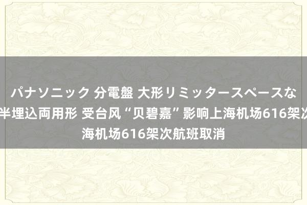 パナソニック 分電盤 大形リミッタースペースなし 露出・半埋込両用形 受台风“贝碧嘉”影响上海机场616架次航班取消