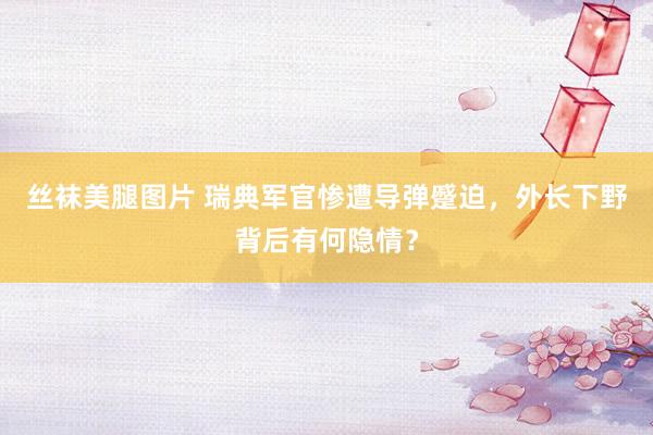丝袜美腿图片 瑞典军官惨遭导弹蹙迫，外长下野背后有何隐情？