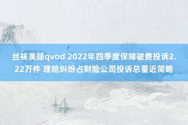 丝袜美腿qvod 2022年四季度保障破费投诉2.22万件 理赔纠纷占财险公司投诉总量近简略