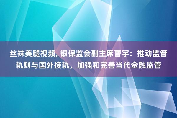 丝袜美腿视频， 银保监会副主席曹宇：推动监管轨则与国外接轨，加强和完善当代金融监管