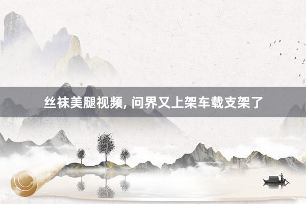 丝袜美腿视频， 问界又上架车载支架了