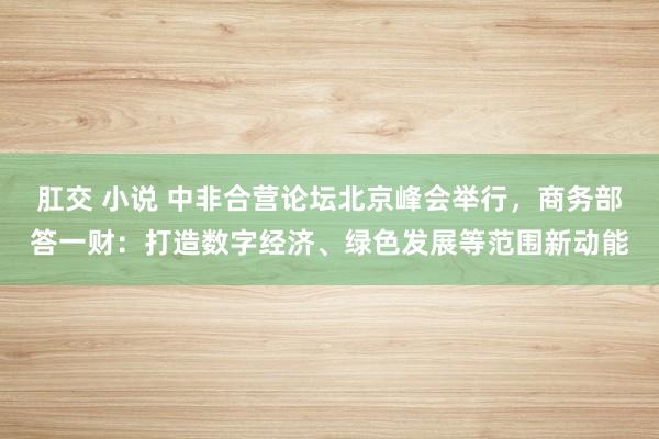 肛交 小说 中非合营论坛北京峰会举行，商务部答一财：打造数字经济、绿色发展等范围新动能