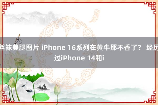 丝袜美腿图片 iPhone 16系列在黄牛那不香了？ 经历过iPhone 14和i