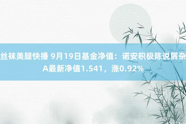 丝袜美腿快播 9月19日基金净值：诺安积极陈说羼杂A最新净值1.541，涨0.92%