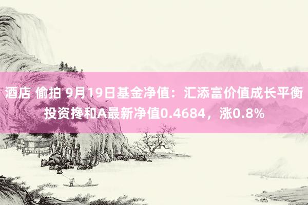 酒店 偷拍 9月19日基金净值：汇添富价值成长平衡投资搀和A最新净值0.4684，涨0.8%