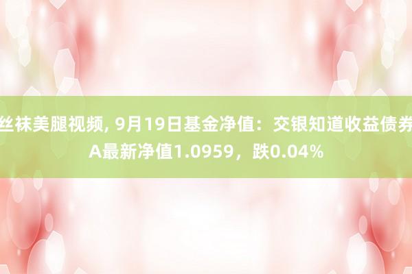 丝袜美腿视频， 9月19日基金净值：交银知道收益债券A最新净值1.0959，跌0.04%