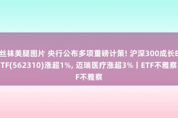 丝袜美腿图片 央行公布多项重磅计策! 沪深300成长ETF(562310)涨超1%， 迈瑞医疗涨超3%丨ETF不雅察