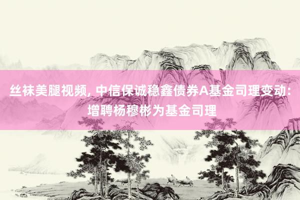 丝袜美腿视频， 中信保诚稳鑫债券A基金司理变动: 增聘杨穆彬为基金司理