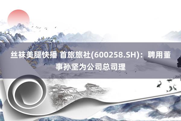 丝袜美腿快播 首旅旅社(600258.SH)：聘用董事孙坚为公司总司理