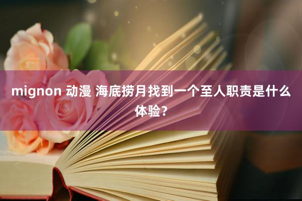 mignon 动漫 海底捞月找到一个至人职责是什么体验？