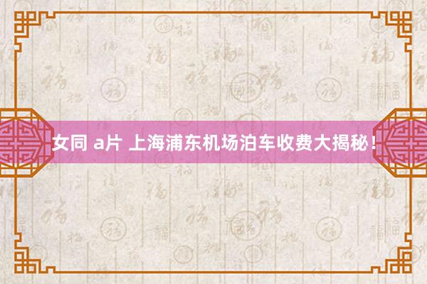 女同 a片 上海浦东机场泊车收费大揭秘！