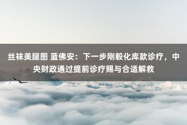 丝袜美腿图 蓝佛安：下一步刚毅化库款诊疗，中央财政通过提前诊疗赐与合适解救