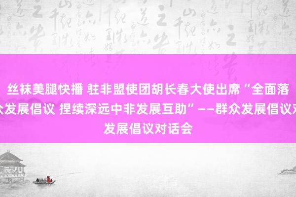 丝袜美腿快播 驻非盟使团胡长春大使出席“全面落实群众发展倡议 捏续深远中非发展互助”——群众发展倡议对话会