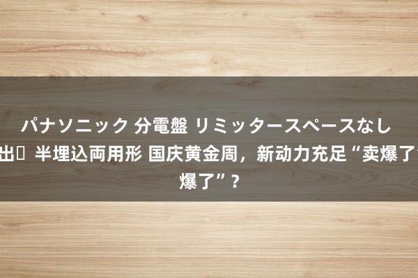 パナソニック 分電盤 リミッタースペースなし 露出・半埋込両用形 国庆黄金周，新动力充足“卖爆了”？