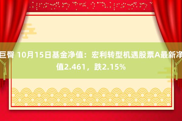 巨臀 10月15日基金净值：宏利转型机遇股票A最新净值2.461，跌2.15%