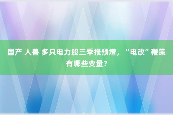 国产 人兽 多只电力股三季报预增，“电改”鞭策有哪些变量？