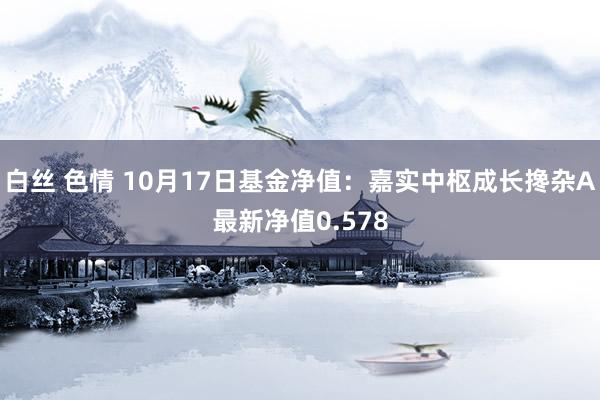 白丝 色情 10月17日基金净值：嘉实中枢成长搀杂A最新净值0.578