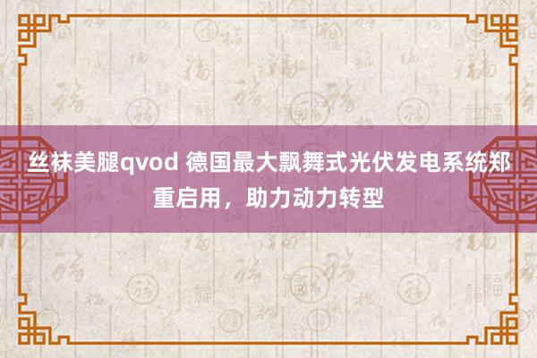 丝袜美腿qvod 德国最大飘舞式光伏发电系统郑重启用，助力动力转型
