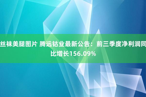 丝袜美腿图片 腾远钴业最新公告：前三季度净利润同比增长156.09%