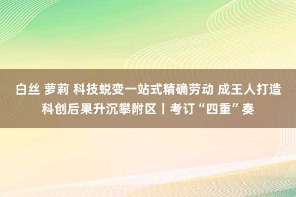 白丝 萝莉 科技蜕变一站式精确劳动 成王人打造科创后果升沉攀附区丨考订“四重”奏