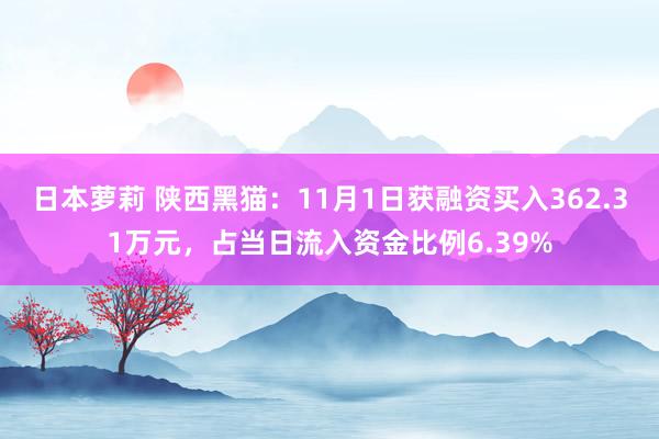 日本萝莉 陕西黑猫：11月1日获融资买入362.31万元，占当日流入资金比例6.39%