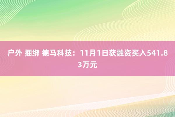 户外 捆绑 德马科技：11月1日获融资买入541.83万元