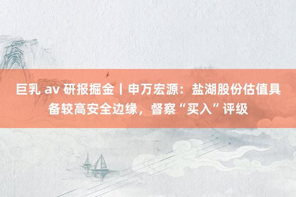 巨乳 av 研报掘金丨申万宏源：盐湖股份估值具备较高安全边缘，督察“买入”评级