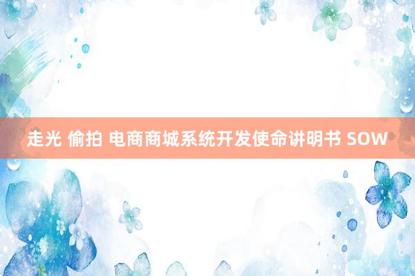 走光 偷拍 电商商城系统开发使命讲明书 SOW