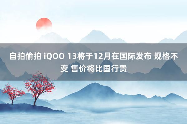 自拍偷拍 iQOO 13将于12月在国际发布 规格不变 售价将比国行贵