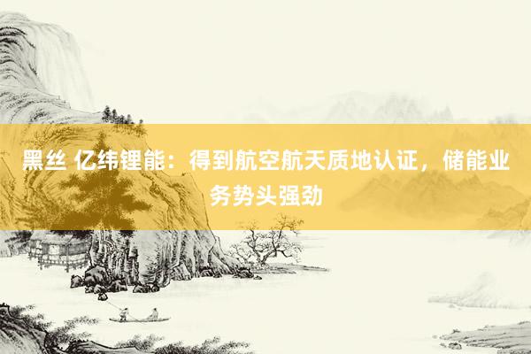 黑丝 亿纬锂能：得到航空航天质地认证，储能业务势头强劲