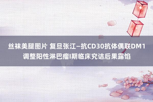 丝袜美腿图片 复旦张江—抗CD30抗体偶联DM1调整阳性淋巴瘤I期临床究诘后果露馅