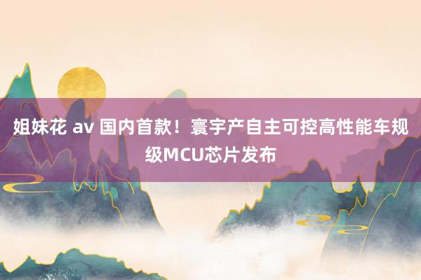 姐妹花 av 国内首款！寰宇产自主可控高性能车规级MCU芯片发布