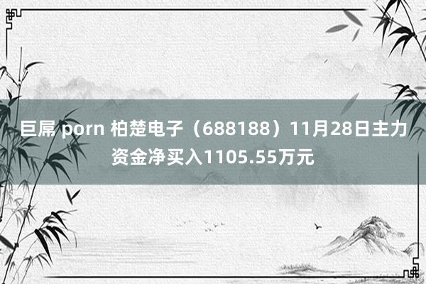 巨屌 porn 柏楚电子（688188）11月28日主力资金净买入1105.55万元