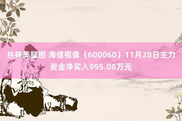 丝袜美腿图 海信视像（600060）11月28日主力资金净买入995.08万元