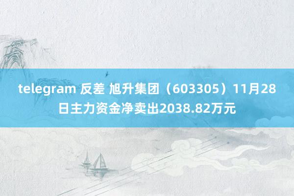 telegram 反差 旭升集团（603305）11月28日主力资金净卖出2038.82万元
