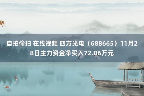 自拍偷拍 在线视频 四方光电（688665）11月28日主力资金净买入72.06万元