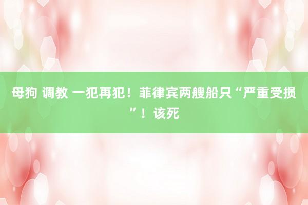 母狗 调教 一犯再犯！菲律宾两艘船只“严重受损”！该死