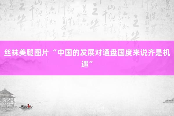 丝袜美腿图片 “中国的发展对通盘国度来说齐是机遇”